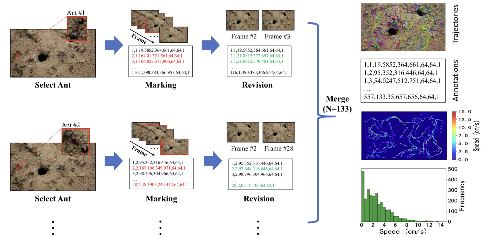 A dataset of ant colonies’ motion trajectories in indoor and outdoor scenes to study clustering behavior