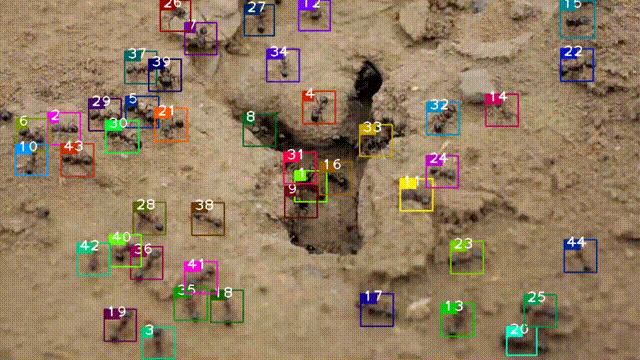 Swarm behavior tracking based on a deep vision algorithm GIF